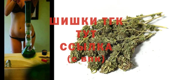 ПСИЛОЦИБИНОВЫЕ ГРИБЫ Арсеньев