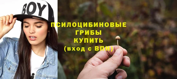 ПСИЛОЦИБИНОВЫЕ ГРИБЫ Арсеньев